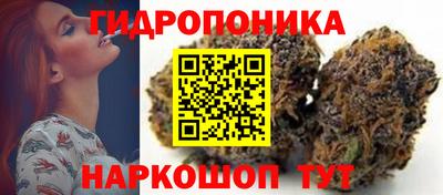 ALPHA PVP Новозыбков
