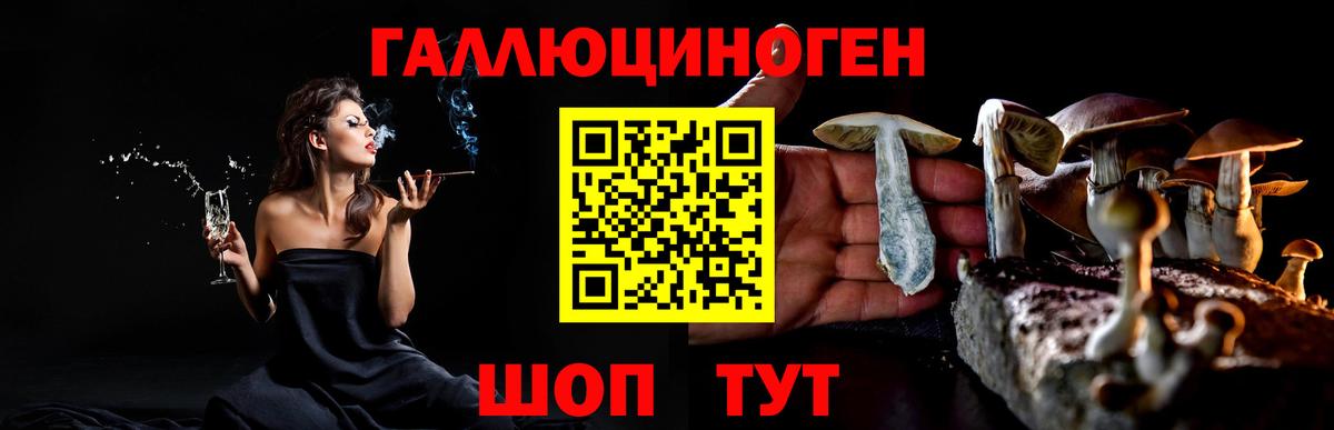 Сокол  Галлюциногенные грибы мухоморы  Псилоцибиновые грибы Psilocybine cubensis  Вход с VPN 